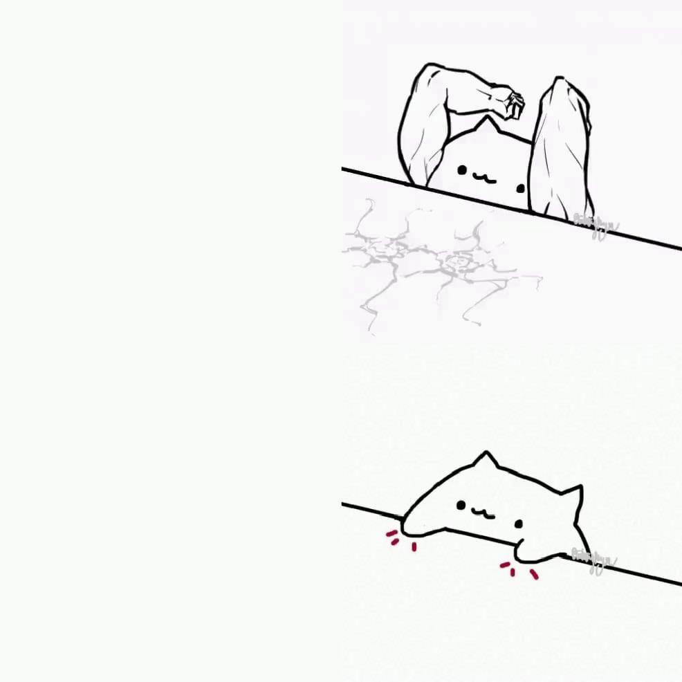 Bongo Cat meme template