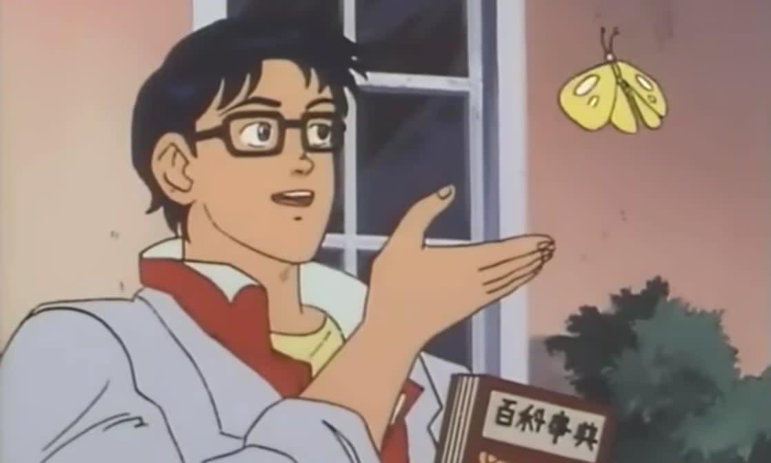 Is This a Pigeon? meme template